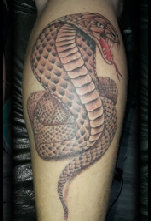 herberts_tattoo_studio005024.jpg